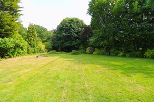 Photo 24- click for photo gallery